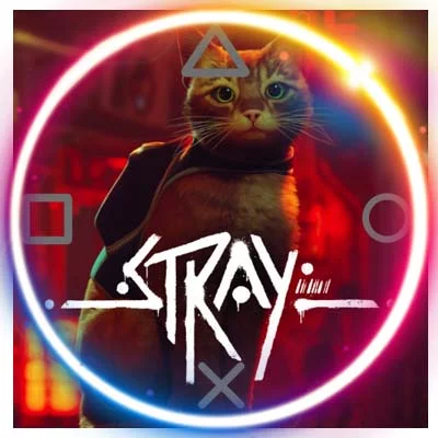 Stray