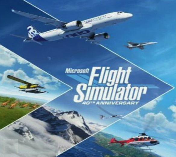 Microsoft Flight Simulator