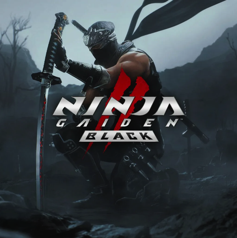Ninja Gaiden 2 Black