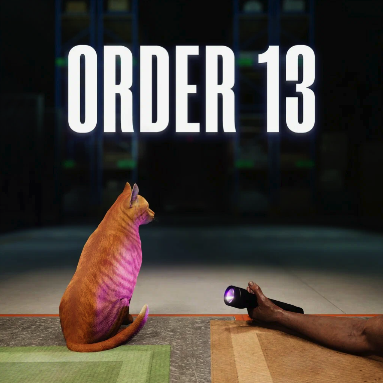 Order 13